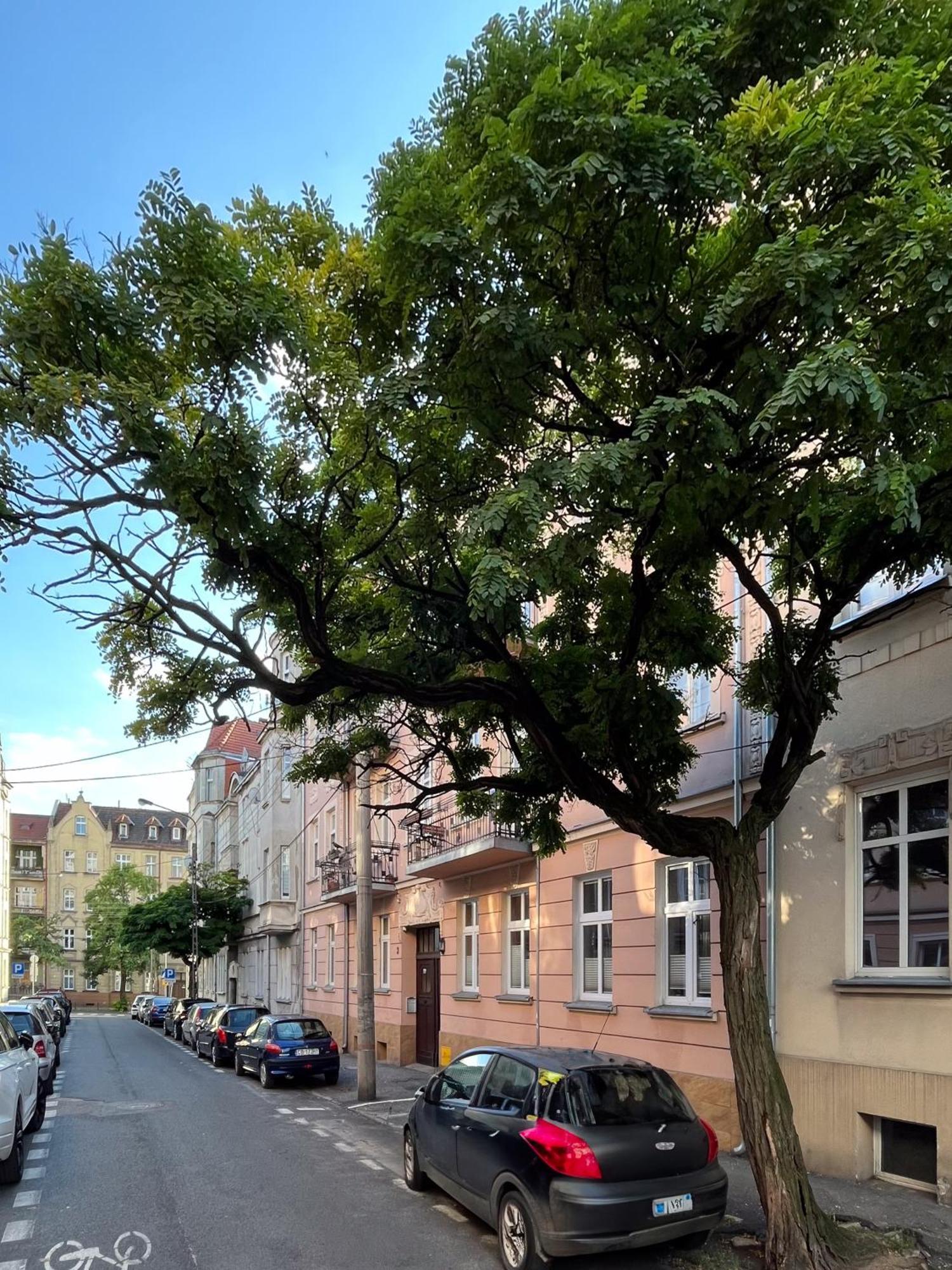 Apartament Dlugosza 3 - Jak W Domu - Idealny Na Dlugie Pobyty I Weekendy Bydgoszcz Buitenkant foto
